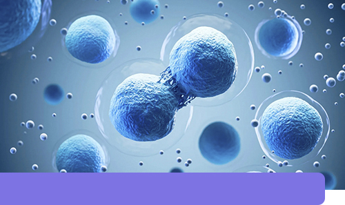One Cell. Endless Possibilities.