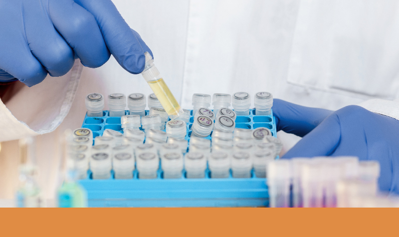 Viruses: From Threats to Biotechnological Solutions